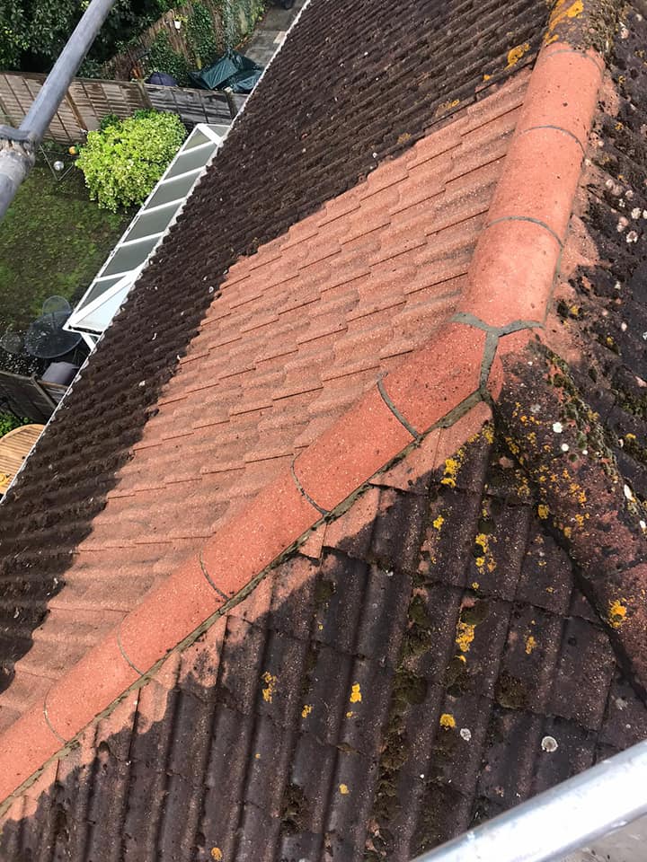 Domestic roof cleaning. Moss removal. Professional. Safe. Eco friendly.