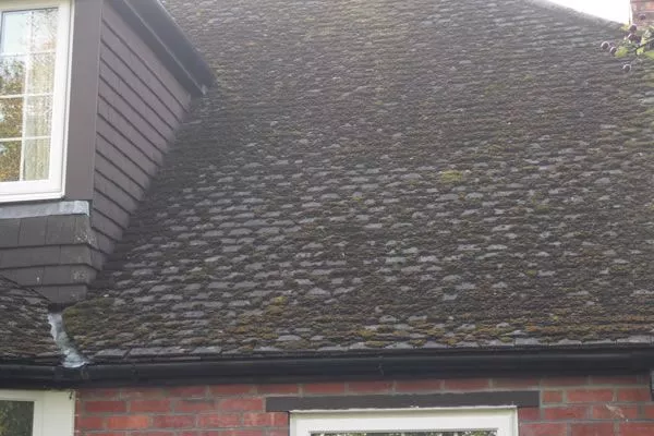 How To Clean Moss From House Roof Cleaning Moss From House Roof Before Photo